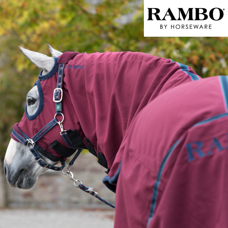 Horseware Rambo Show Set Sheet - Burgundy/Burgundy/Teal/Navy-2